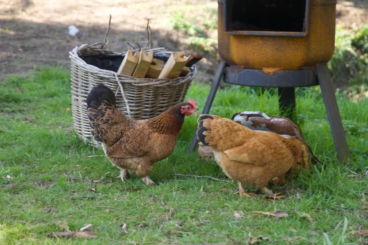 Bed & Breakfast Beijden